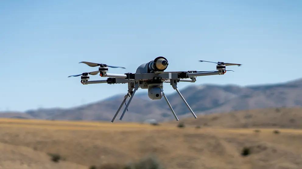 Zirh Delici Harp Baslikli Kargu 1