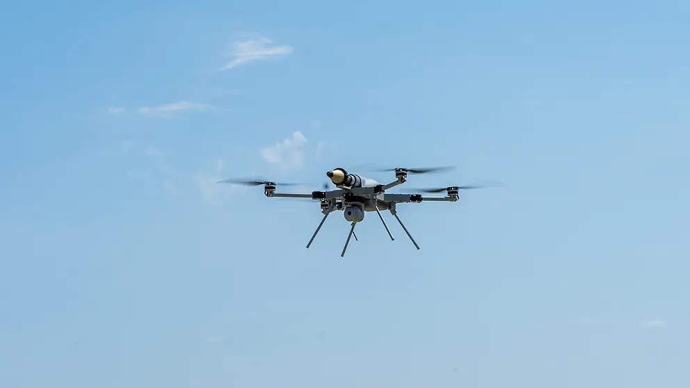 Zirh Delici Harp Baslikli Kargu 4